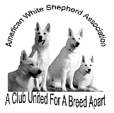 tshirt.gif (14108 bytes)