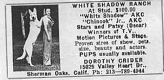 whitead1.jpg (43980 bytes)