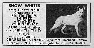 whitead2.jpg (49708 bytes)